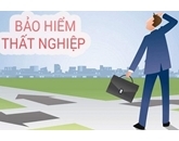 Thông tư số 28 2015 TT - BLĐTBXH ngày 31 7 2015 quy định về Luật việc làm về Bảo hiểm thất nghiệp