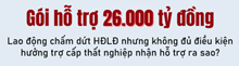 Lao động không đủ điều kiện hưởng trợ cấp thất nghiệp nhận hỗ trợ ra sao